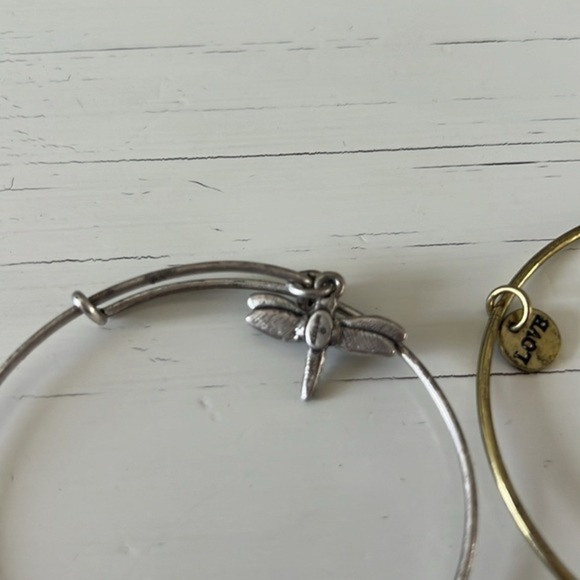 Lot of 4 Alex and Ani Bracelets Dragonfly Team USA Healing Love Arrow Feather‎ - Picture 3 of 7